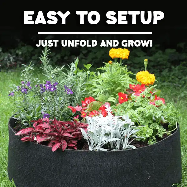 Kangast aia istutuspeenar - Image 3