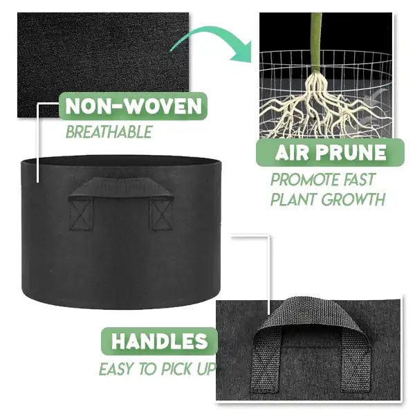 Kangast aia istutuspeenar - Image 4