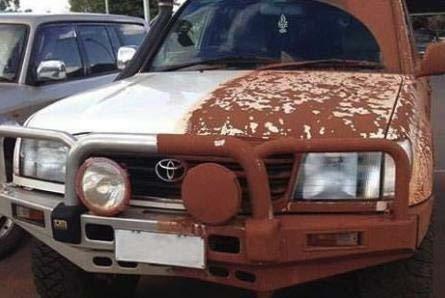 Fortify Quick Coat - Image 4